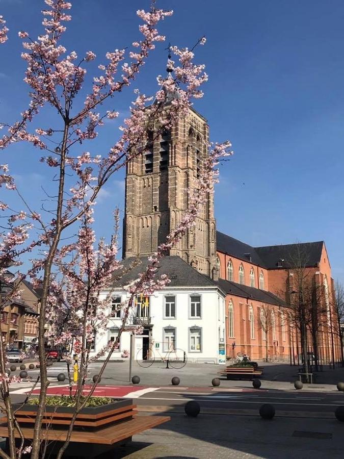 Elvier B&B Mol Eksteriør bilde